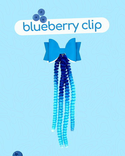BlueBerry